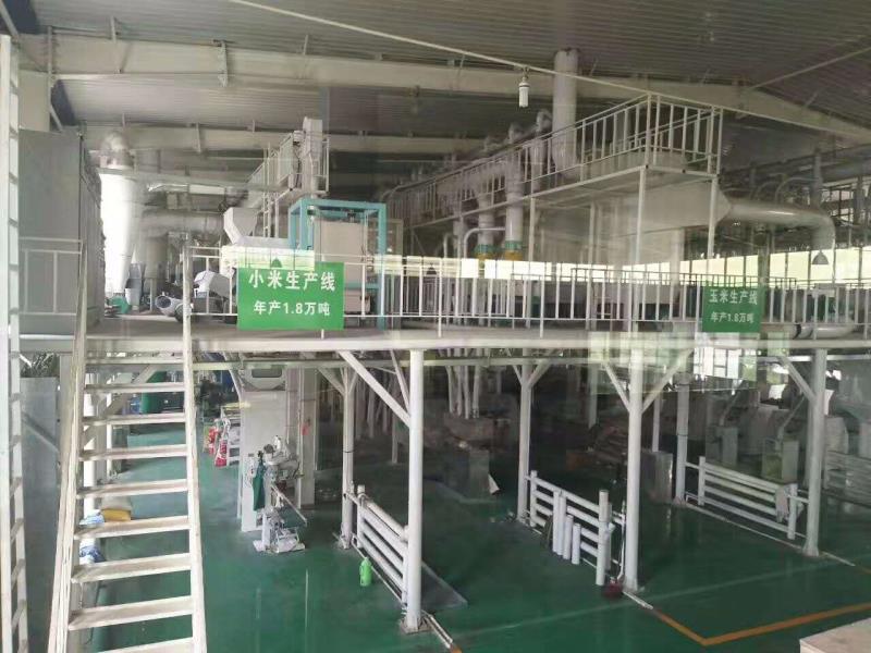 影響小米加工設備產(chǎn)量的因素有哪些(圖1)