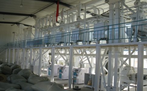 玉米加工設(shè)備加工不同物料要注意什么(圖1) 玉米加工設(shè)備加工不同物料要注意什么(圖1)