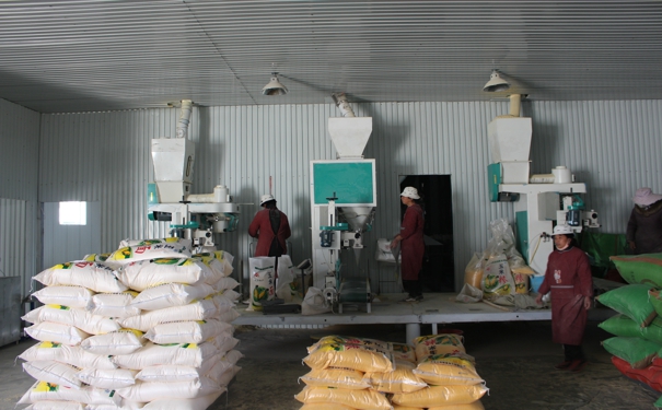 玉米加工設(shè)備廠家分析機械設(shè)備運行中溫度升高的原因(圖1) 玉米加工設(shè)備廠家分析機械設(shè)備運行中溫度升高的原因(圖1)